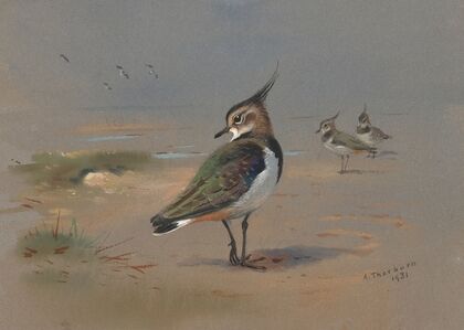 Green Plovers (1931)