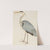 Grey Heron by Ram Das