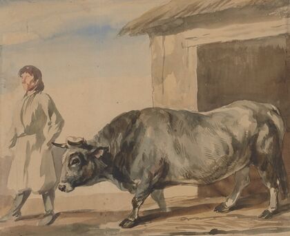 Grey ox and a peasant from Bolestraszyce