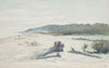 Grey River, on the beach