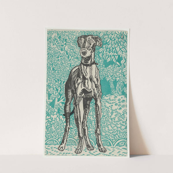 Greyhound by Moriz Jung