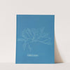Griffithsia corallina by Anna Atkins