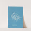 Griffithsia equisetifolia by Anna Atkins