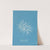 Griffithsia equisetifolia by Anna Atkins