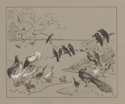 Groep diverse vogels en een kikker.