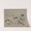 Groep diverse vogels en een kikker. by Theo van Hoytema