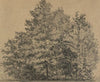 Große Baumstudie (1880)