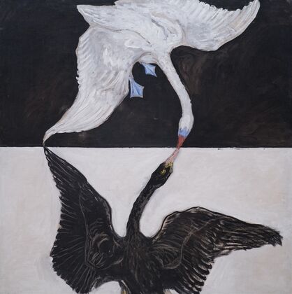 Group IX-SUW, The Swan, No. 1