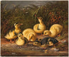 Group of Ducklings (ca. 1861–1897)