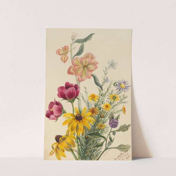 Group of Flowers (1881) by Mary Vaux Walcott
