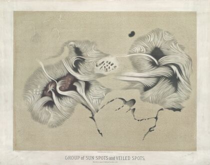 Group of sun spots and veiled spots