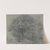 Group of trees by Jakob Maurer