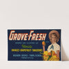 Grove-Fresh Brand Citrus Label (1930-1950)