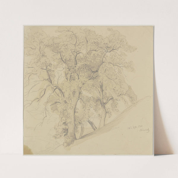 Grove on a slope (1840) by Jakob Becker