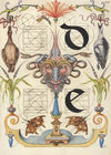 Guide for Constructing the Letters d and e (1561–1596)