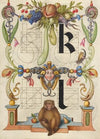 Guide for Constructing the Letters k and l (1561–1596)