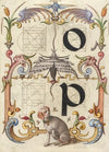 Guide for Constructing the Letters o and p (1561–1596)