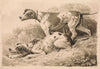 Gun Dogs