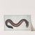 Gymnotus Electricus, The Electric-Eel. (1785-1797) by Marcus Elieser Bloch