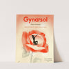 Gynarsol (1910-1950) by H. Martinet
