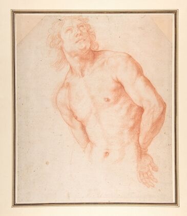 Half-Figure of a Male Nude with Arms behind Back