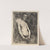 Half Nude Figure of a Man by Robert Frederick Blum
