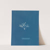 Halymenia furcellaria. by Anna Atkins