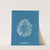 Halymenia furcellata. by Anna Atkins