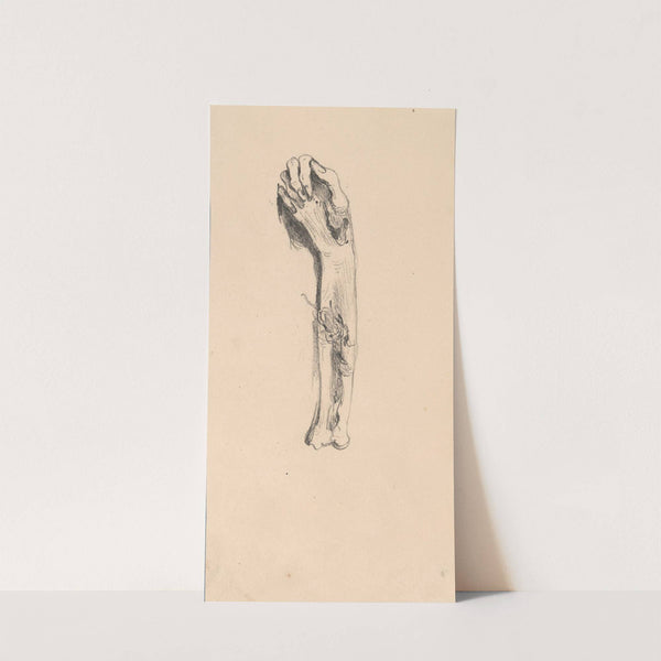 Hand and Arm by Nicaise De Keyser