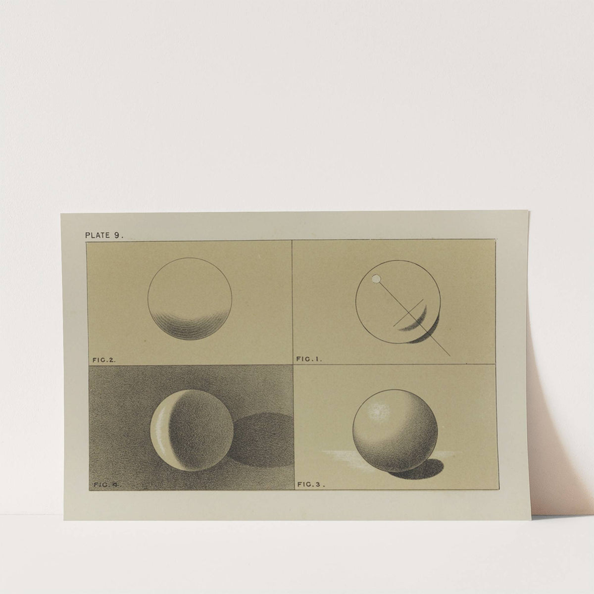 Handbook of light and shade, with especial reference to model drawing Pl.09 by Mary Philadelphia Merrifield