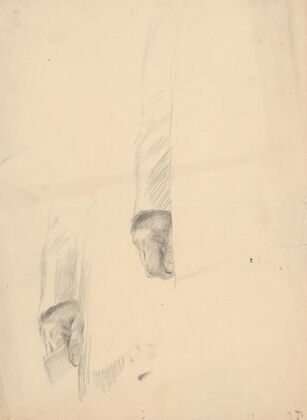 Hands Study