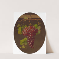 Hanging Bunch of Grapes (1867) by Sarah Wilhelmina Wenzler