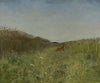 Hare in the grain