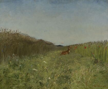 Hare in the grain