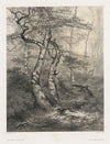 Hare Pursued by a Goshawk (1858)