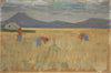 Harvest on the Balearic Islands