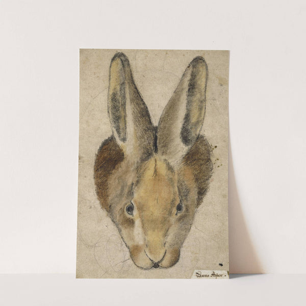 Hase von vorn by Hans Asper