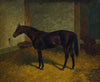 Hastings in a Stable (1902)