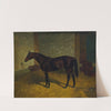 Hastings in a Stable (1902) by Henry Stull