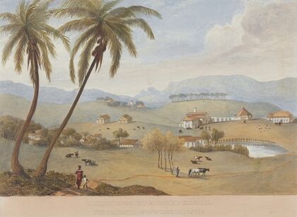 Haughton Court, Hanover, Jamaica