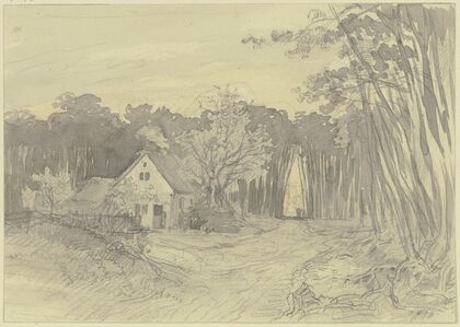 Haus auf einer Waldlichtung