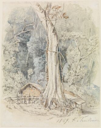 Haus mit Unterstand im Urwald bei Tres-Barras
