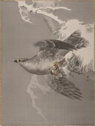 Hawk Holding a Small Bird (ca. 1891–92)