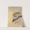 Hawk by Ohara Koson