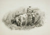 Haying Scene