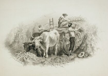 Haying Scene