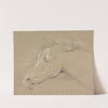 Head and Neck of a Frightened Horse, Left Profile by Henry Thomas Alken