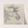 Head and Neck of a Horse in Fear or Exhaustion, Mane Swept Forwards, Profile Right by Henry Thomas Alken