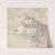 Head and Shoulders of a Collie Dog, Wearing a Leash or Tether, Sketchy Sheep in Background by Henry Thomas Alken