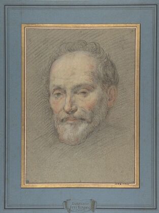 Head of a Bearded Man
